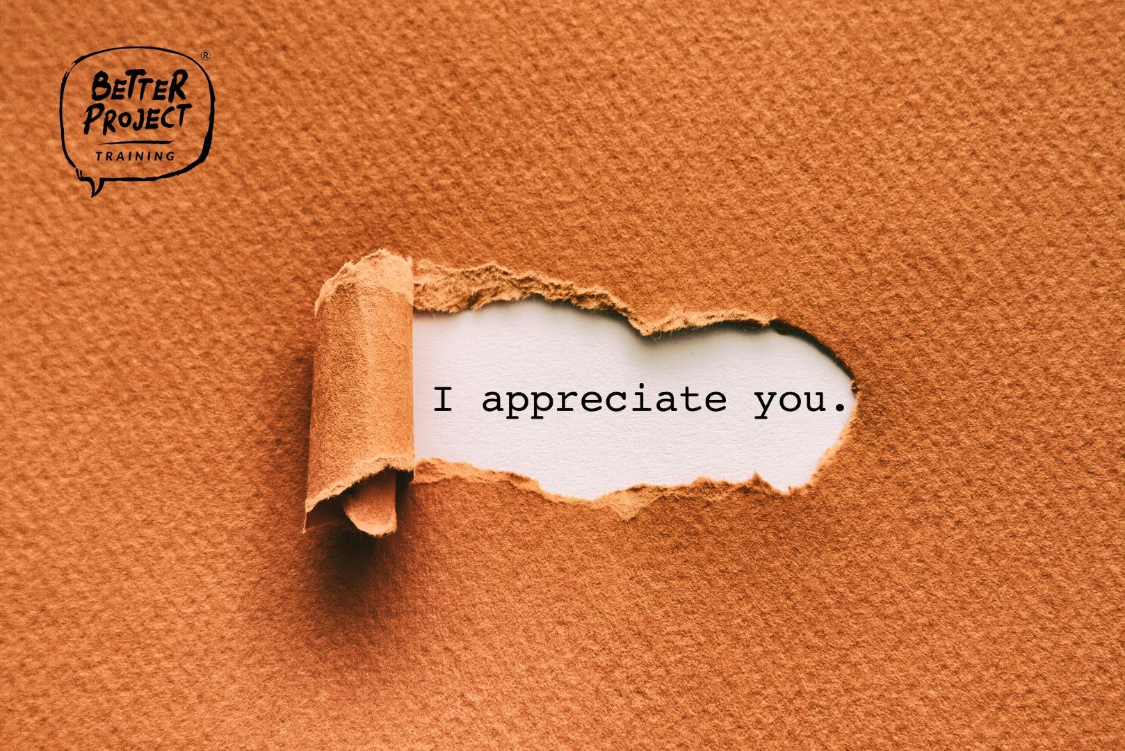 Featured image for “Wertschätzende Kommunikation im Projekt”